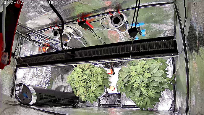 Growreport Bild 19