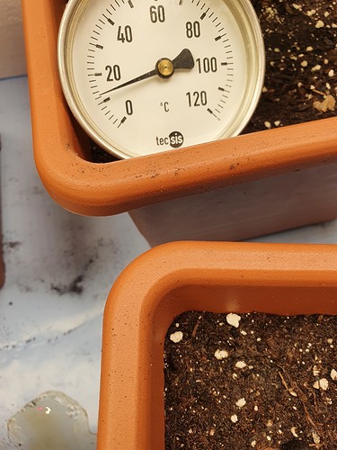 Growreport Bild 8