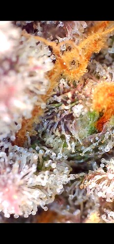 Growreport Bild 14