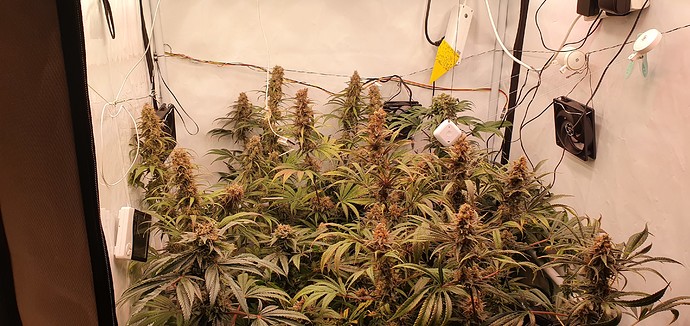 Growreport Bild 24