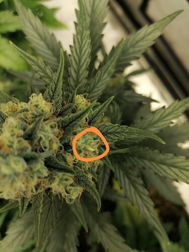 Growreport Bild 1