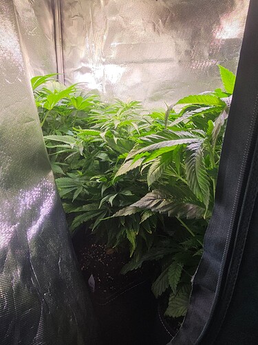 Growreport Bild 4