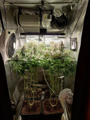 Growreport Bild 2