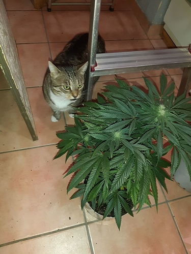 Growreport Bild 16