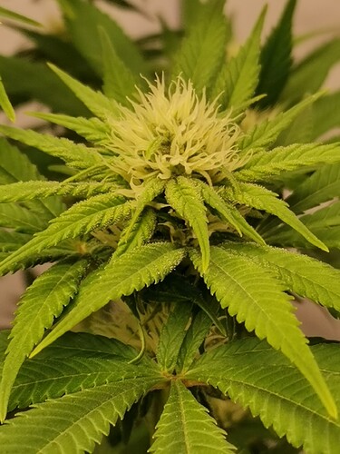 Growreport Bild 15