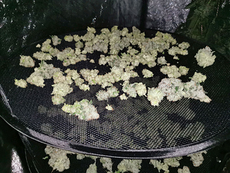 Growreport Bild 6