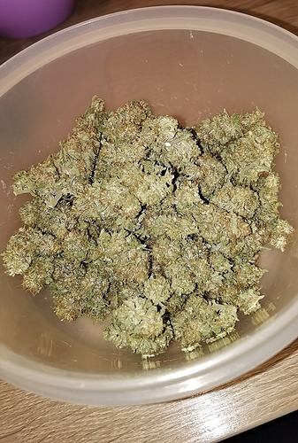Growreport Bild 1