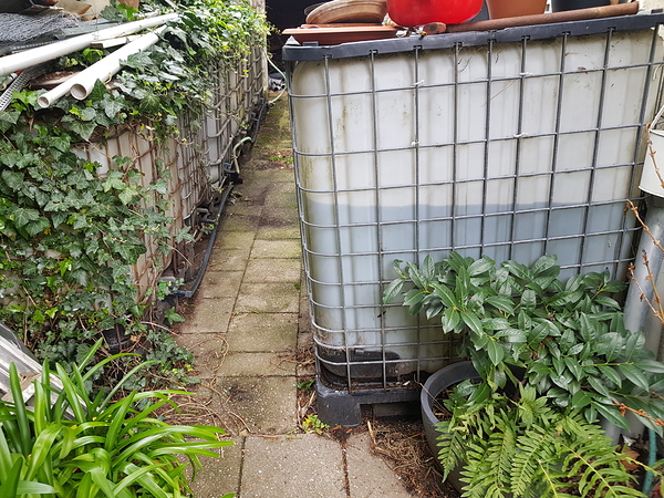 2020: Outdoor Töpfe im Garten - Erster Versuch ever⁸ - Growreports