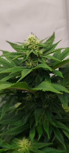 Screenshot_2024-01-31-19-40-35-905_com.miui.gallery