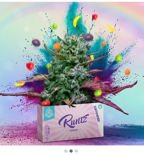 Growreport Bild 12