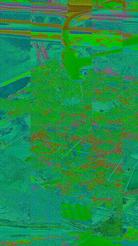 Growreport Bild 1