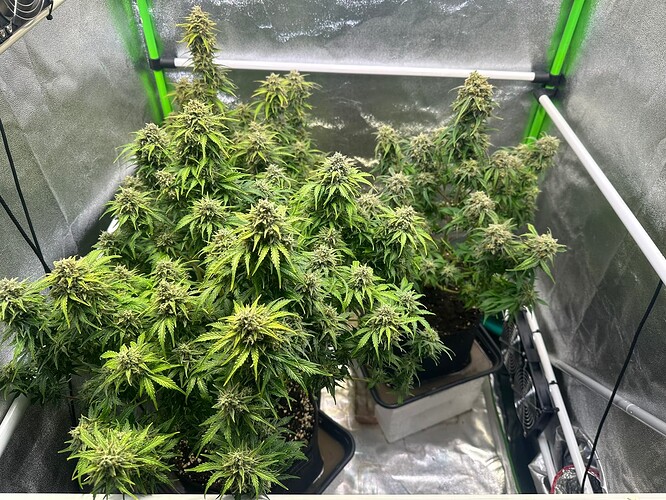 Growreport Bild 10