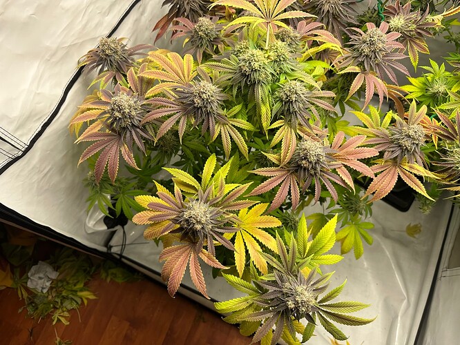 Growreport Bild 16