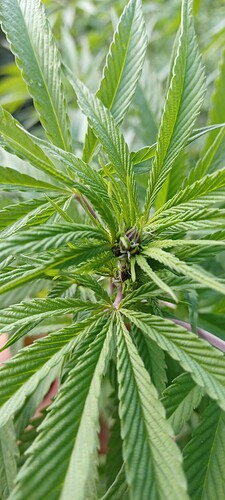 Growreport Bild 7