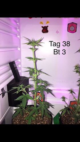 Growreport Bild 1