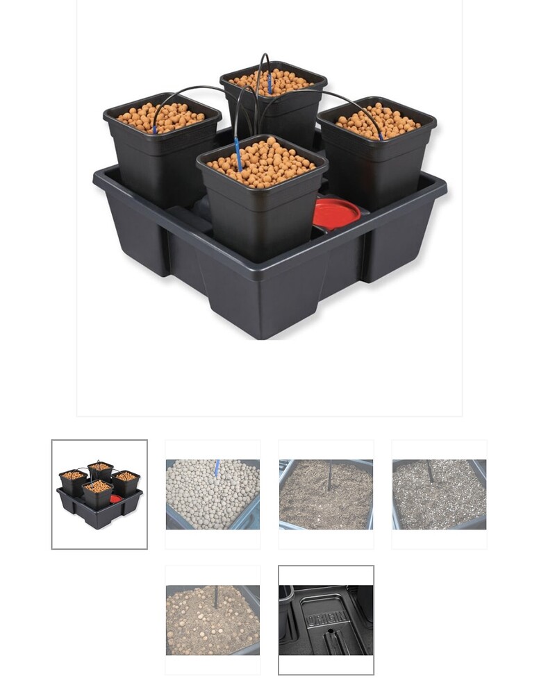 🌱 9 Pflanzen auf 80x80 Grow🌿