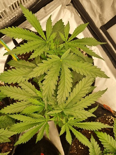 Growreport Bild 26