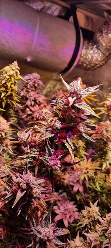 Growreport Bild 21