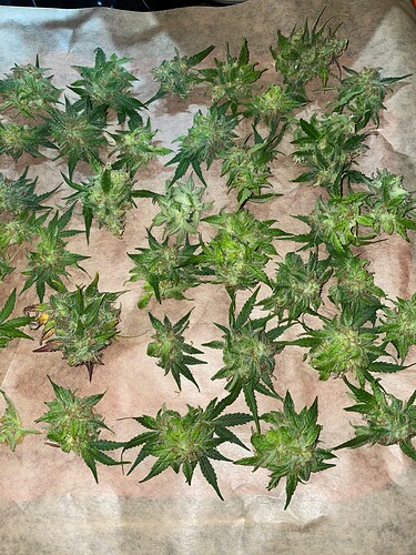 Growreport Bild 17