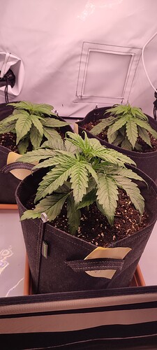 Growreport Bild 16