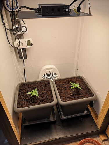 Growreport Bild 2