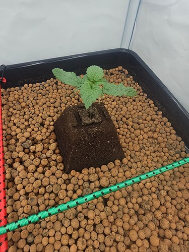Growreport Bild 24