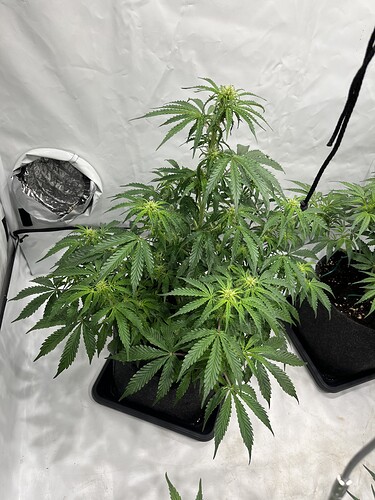 Growreport Bild 2