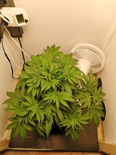 Growreport Bild 1