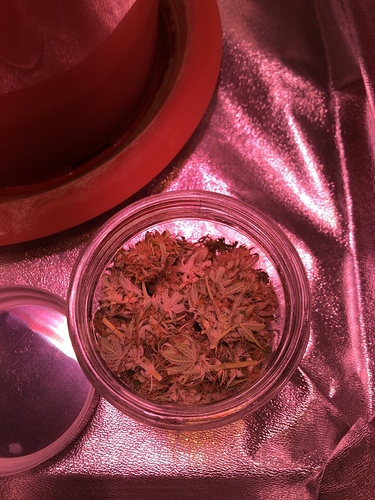 Growreport Bild 8