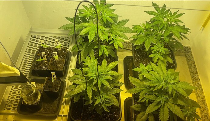 Growreport Bild 12