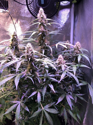Growreport Bild 10