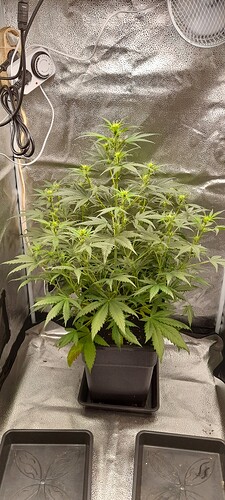 Growreport Bild 17