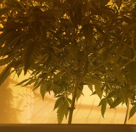 Growreport Bild 7