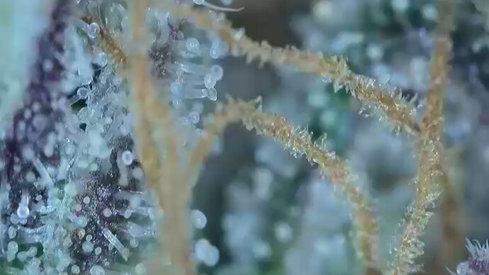 2022-06-25-032705839