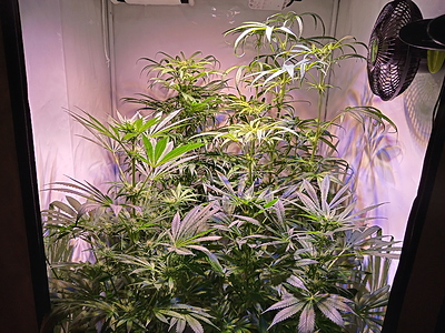 Growreport Bild 7