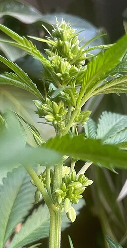 Growreport Bild 13