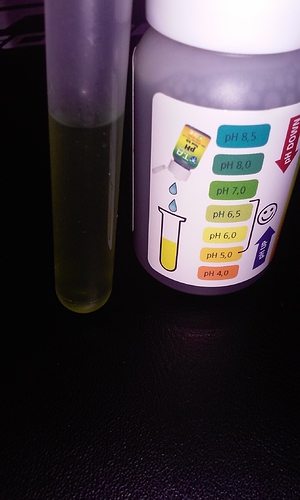 Growreport Bild 2