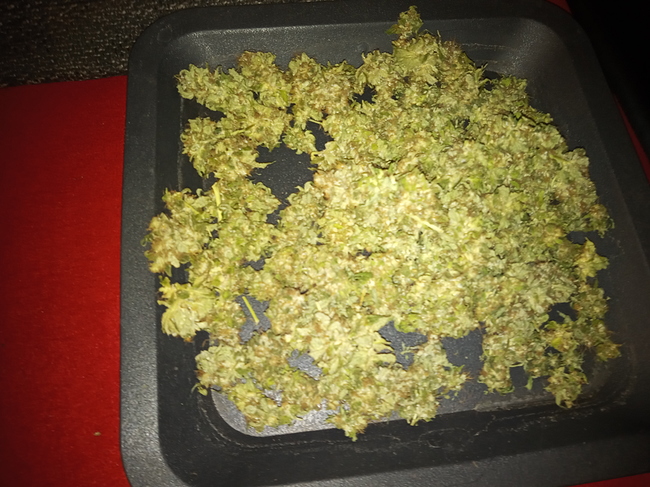 Growreport Bild 3