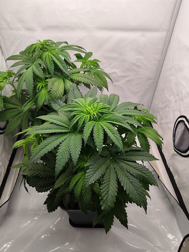 Growreport Bild 16