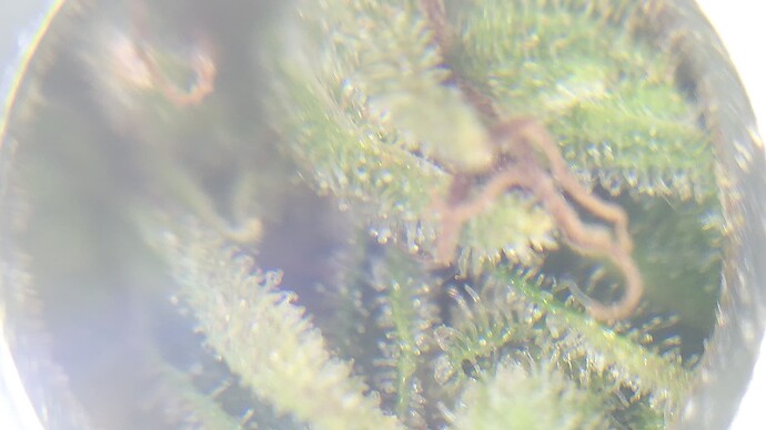 Growreport Bild 16