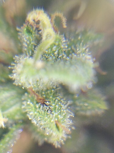 Growreport Bild 19