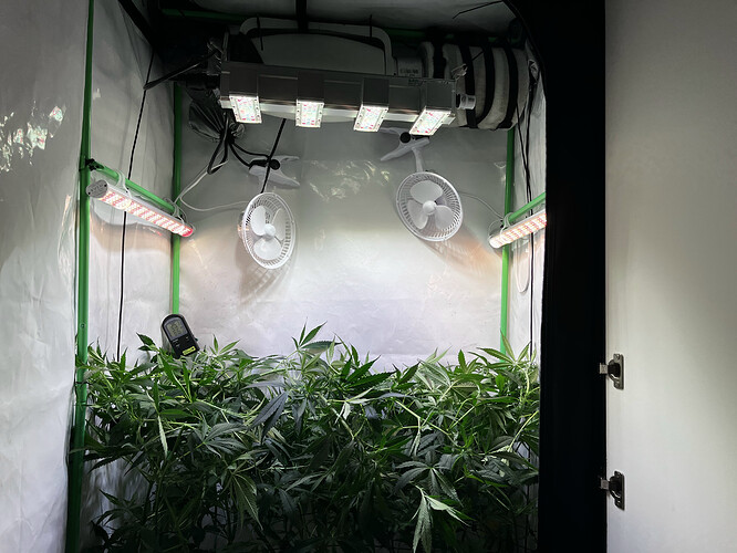 Growreport Bild 9