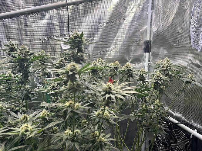 Growreport Bild 9