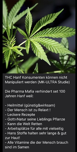 Growreport Bild 23