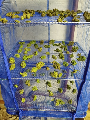 Growreport Bild 9