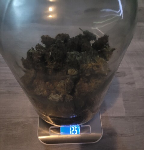 Growreport Bild 2