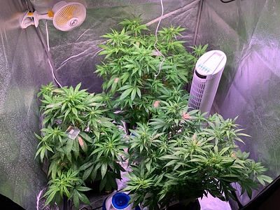 Growreport Bild 17