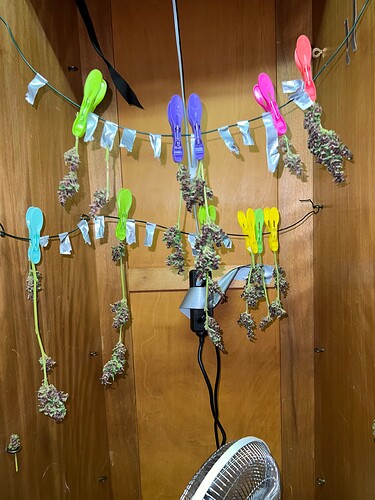 Growreport Bild 15