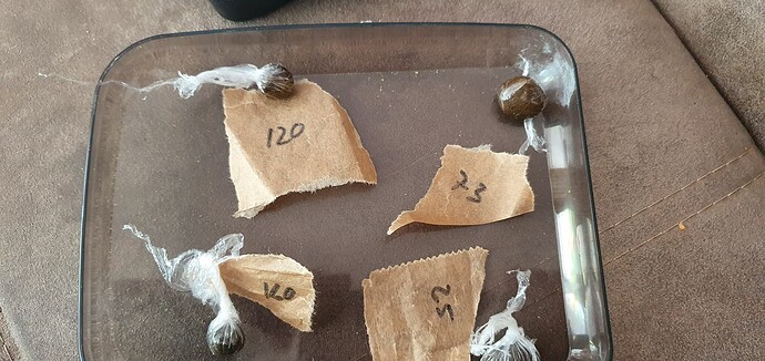 Growreport Bild 34