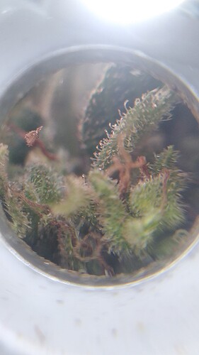 Growreport Bild 11